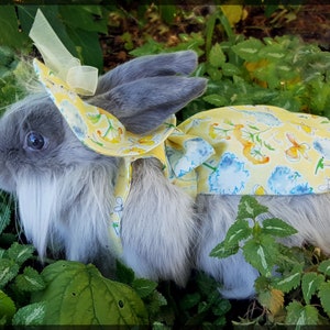 Bunny Dress w/matching hat- Perfect custom for your pet rabbit
