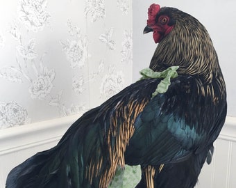 Chicken Diapers Extra Large- Perfect Chicken Diaper for Extra Large Hens or Roosters