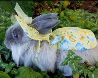 Bunny Dress w/matching hat- Perfect custom for your pet rabbit