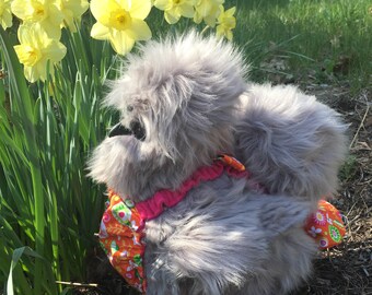 Chicken Diaper Medium Stylish Chicken Diaper- Larger Bantam Poultry or Smaller Laying Hen Nappie