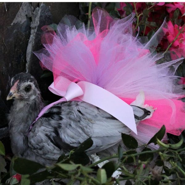 Bantam Chicken Tutu Dress- Princess dress for your hen