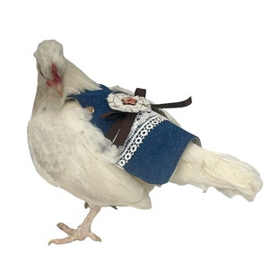Hen Apron Saddle- Shabby Chic Feather Protectors