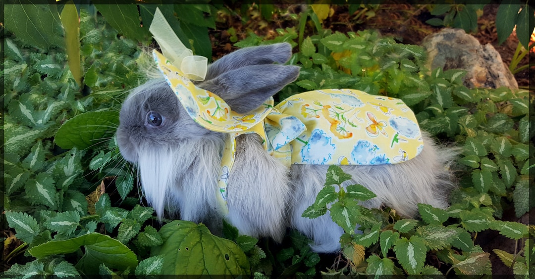 Distressed Easter Rabbit With Glasses and Floppy Bow Tie