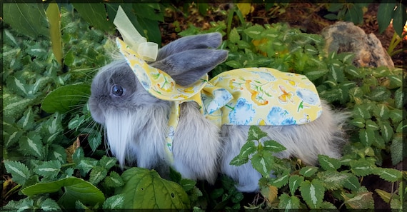 cute bunny dress up Amazon.com: UQJE Easter Bunny Costume for Women Deluxe Rabbit Mascot with Rabbit Ear Headband Easter Costumes : Clothing, Shoes & Jewelry