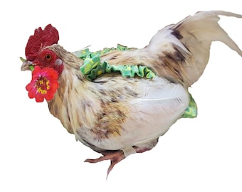 Extra Small Stylish Chicken Diaper- Nappies for Tiny Bantams &  Young poultry (Sermas, Old English Hens)