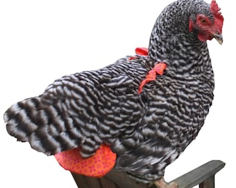 Chicken Diaper Medium Stylish Chicken Diaper- Larger Bantam Poultry or Smaller Laying Hen Nappie