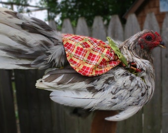 Adorable Bantam Hen Dress Saddle Picture Perfect Protection for Poultry