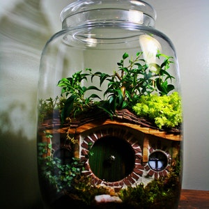 Hobbit Inspired Terrarium