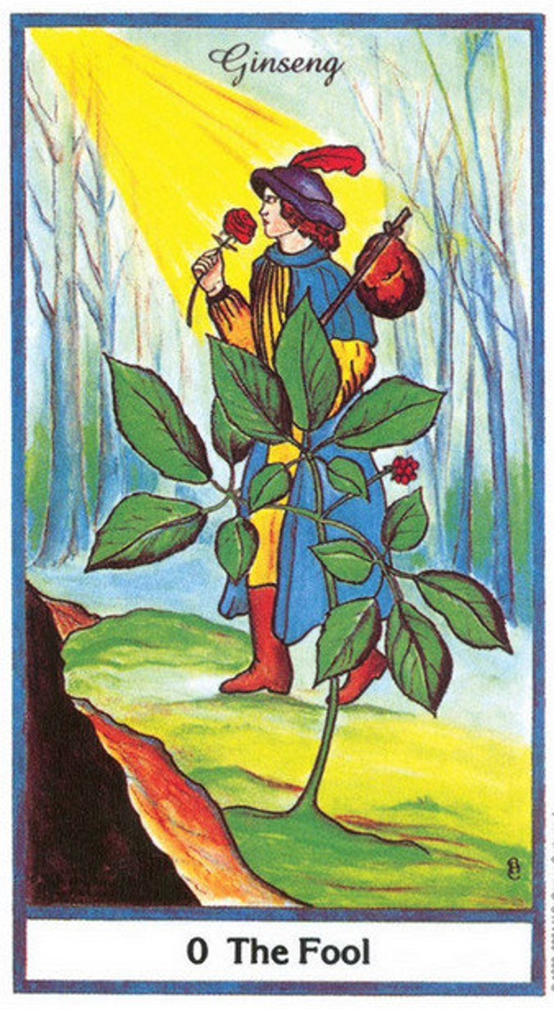 The Herbal Tarot Deck Original New Sealed Cards Set Etsy