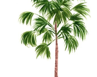 Instant Download Print, Windmill Palm Tree Art Print - Sabina Fenn, Watercolor Tree Botanical Painting, Greenery Tropical Wall Decor