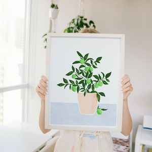 May include: A framed illustration of a potted plant with green leaves and small green fruit. The plant is in a light brown pot and is set against a light blue background.