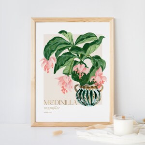 Exquisite Blooms: Medinilla Magnifica Art Print Botanical Beauty for Home Decor image 3