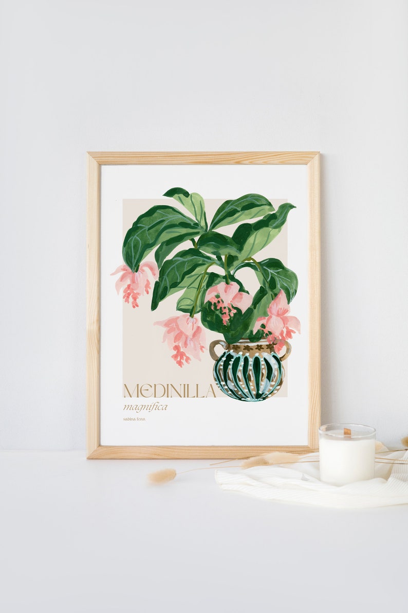 Exquisite Blooms: Medinilla Magnifica Art Print Botanical Beauty for Home Decor image 3