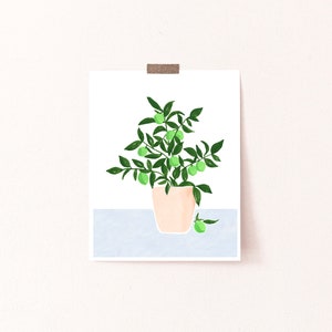 May include: A digital illustration of a potted plant with green leaves and small green fruit. The plant is in a light peach colored pot and is sitting on a light blue surface.