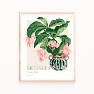 Exquisite Blooms: Medinilla Magnifica Art Print Botanical Beauty for Home Decor image 1
