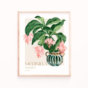 Exquisite Blooms: Medinilla Magnifica Art Print Botanical Beauty for Home Decor image 1