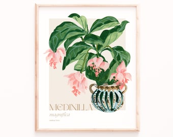 Exquisite Blooms: Medinilla Magnifica Art Print - Botanical Beauty for Home Decor