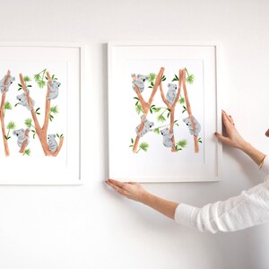 May include: Two framed prints of watercolor illustrations of koalas climbing on eucalyptus trees. The prints are white with a white mat and a white frame. The prints are hanging on a white wall.