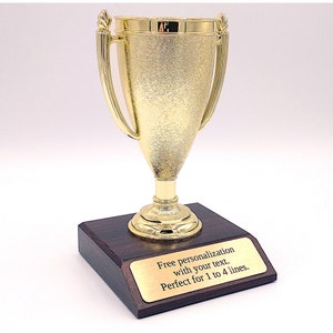 Cup trophy award free personalization with your text 5 1/4" tall great gift or achievement award for any occasion