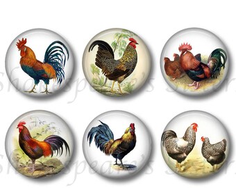 Rooster Magnets - Set of Six 1.5 Inch Magnets - Chicken Magnets - Farm Kitchen Rooster Decor