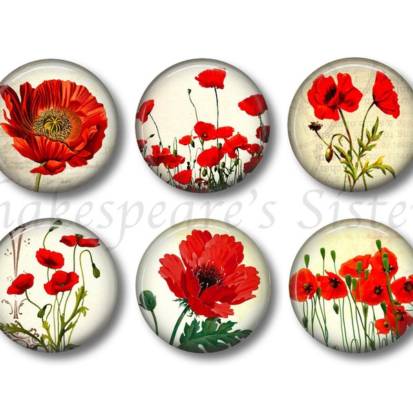 Pretty Poppy Magnets - Red Poppies Flower Art - Six 1.5 Inch Magnets - Summer Kitchen, Cute for Office, Locker, Cottage, Cabin