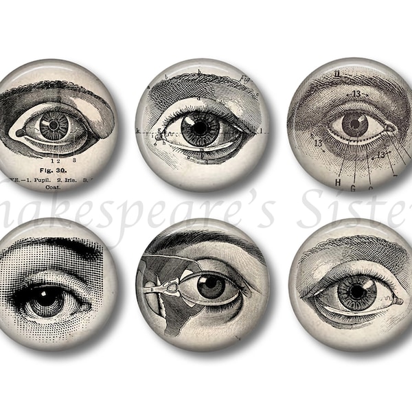 Human Anatomy Eye Optometry Magnets - 1.5 Inch Round - 6 Piece Magnet Set - Eye Doctor, Optometrist, Ophthalmologist, Gothic, Halloween