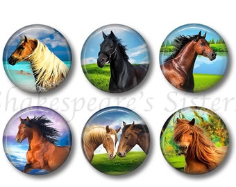 Horse Magnets - Beautiful Horses - 6 Pieces Magnet Set - 1.5" Round - Cute for Kitchen, Office, Locker