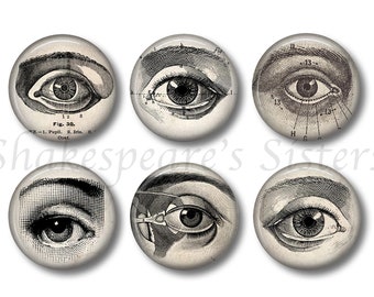 Human Anatomy Eye Optometry Magnets - 1.5 Inch Round - 6 Piece Magnet Set - Eye Doctor, Optometrist, Ophthalmologist, Gothic, Halloween