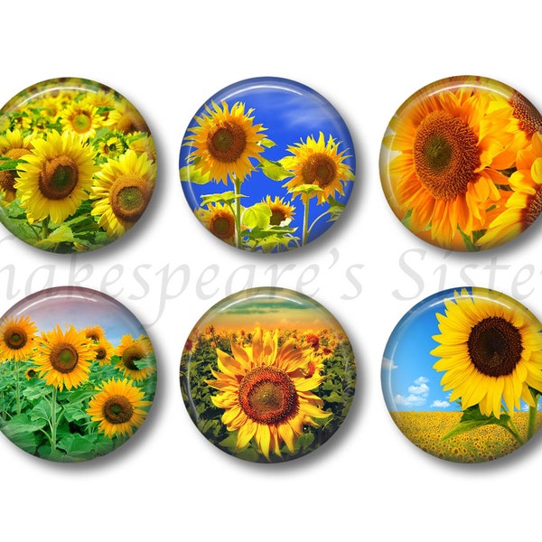 Sunflower Magnets - Fridge Magnets - Flower Art - 6 Magnets - 1.5 Inch Magnets - Kitchen Magnets
