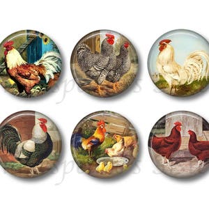 Chicken and Rooster Magnets - Set of Six 1.5 Inch Magnets - Farm Kitchen Decor - Farm Magnets