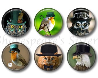 Steampunk Birds - Fridge Magnets - Bird Magnets - 6 Magnets - 1.5 Inch Magnets - Kitchen Magnets