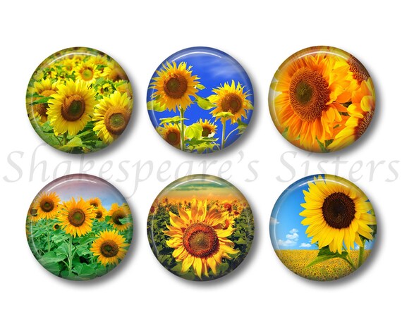 Sunflower Magnets Fridge Magnets Flower Art 6 Magnets Etsy