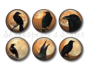Crow and Moon - Fridge Magnets - Crow Magnets - 6 Magnets - 1.5 Inch Magnets - Kitchen Magnets