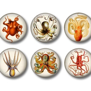 Octopus Art Fridge Magnets Sea Life Magnets 6 Magnets 1.5 Inch Magnets Kitchen Magnets image 1