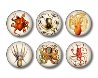 Octopus Art - Fridge Magnets - Sea Life Magnets - 6 Magnets - 1.5 Inch Magnets - Kitchen Magnets