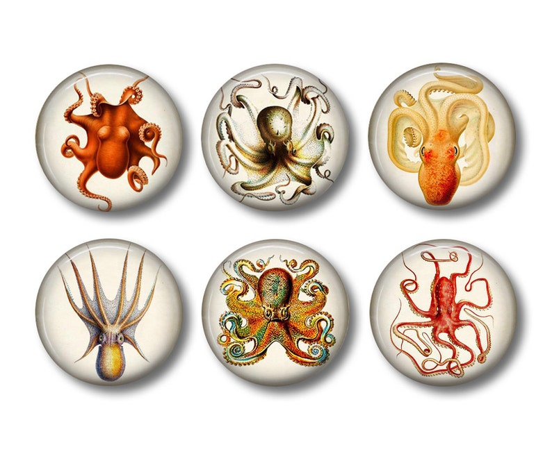 Octopus Art Fridge Magnets Sea Life Magnets 6 Magnets 1.5 Inch Magnets Kitchen Magnets image 1