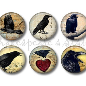 Crow Art - Fridge Magnets - Crow Magnets - 6 Magnets - 1.5 Inch Magnets - Kitchen Magnets