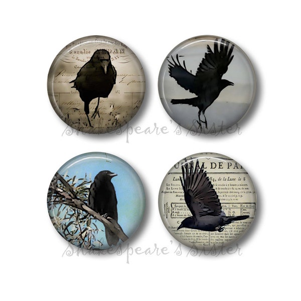 Black Crow Art - Fridge Magnets - Raven Magnets - 4 Magnets - 1.5 Inch Magnets - Kitchen Magnets