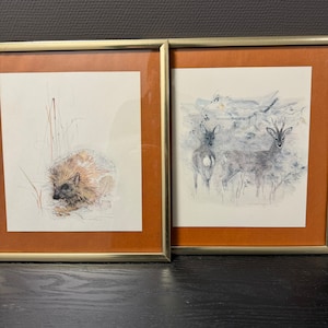 Quadro con acquerelli incorniciati Mads Stage Deer. Hedgehog. Stampa offset degli anni '70.