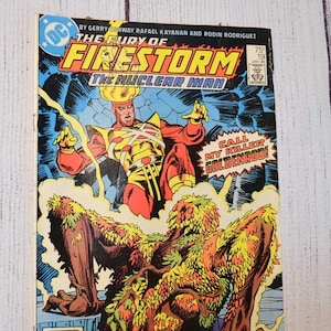 Vintage Fury of Firestorm Comic Book 1983 No 19 DC Comics Collectible Comic Book PanchosPorch