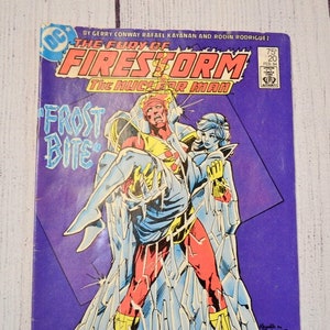 Vintage Fury of Firestorm Comic Book 1984 No 20 DC Comics Collectible Comic Book PanchosPorch