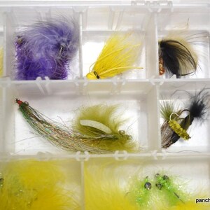 May include: A clear plastic tackle box filled with colorful fishing flies. The flies feature various colors, including yellow, purple, green, and black. The flies are made of feathers and other materials.