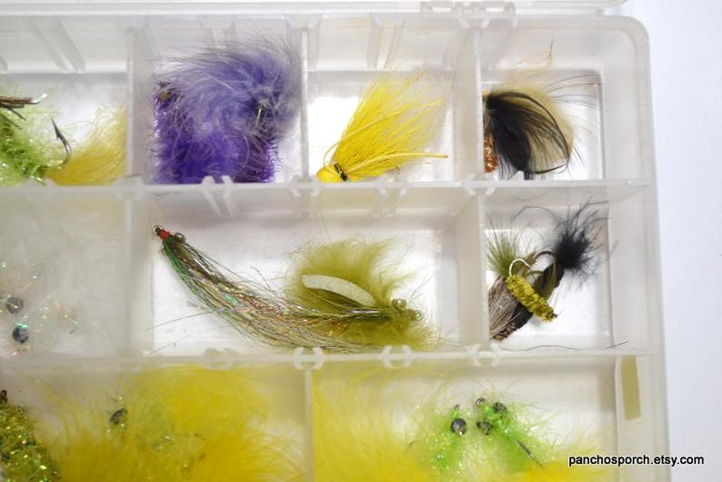 May include: A clear plastic tackle box filled with colorful fishing flies. The flies feature various colors, including yellow, purple, green, and black. The flies are made of feathers and other materials.