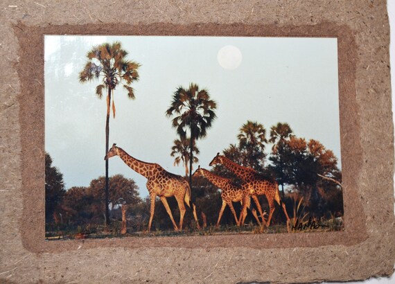 Handmade Wildlife Greetings Card - Giraffe Handmade Wildlife Greetings Card - Giraffe