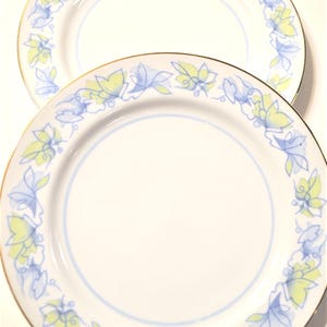 May include: Two white ceramic plates with a floral design. The plates have a gold rim, a light blue inner border, and a repeating pattern of blue and yellow leaves around the edge. These plates are suitable for serving food.