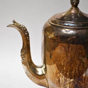 Pu&ograve; includere: Una caffettiera argentata con un manico decorativo e un coperchio con un pomo. La caffettiera ha un aspetto opaco.
