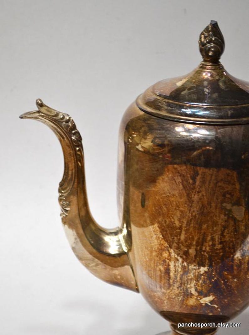Pu&ograve; includere: Una caffettiera argentata con un manico decorativo e un coperchio con un pomo. La caffettiera ha un aspetto opaco.