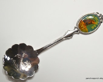 Vintage St Thomas Virgin Islands Spoon Silver Tone Metal Iguana Lizard Souvenir Decorative Spoon Collection PanchosPorch