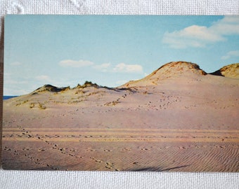 Vintage CAPE COD Postcard Sand Dunes Beach Shore Massachusetts Souvenir Post Card Memorabilia Advertising Paper Ephemera PanchosPorch