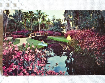 Vintage FLORIDA Postcard Cypress Gardens Flowers Azaleas Used Post Card Memorabilia Advertising Paper Ephemera PanchosPorch